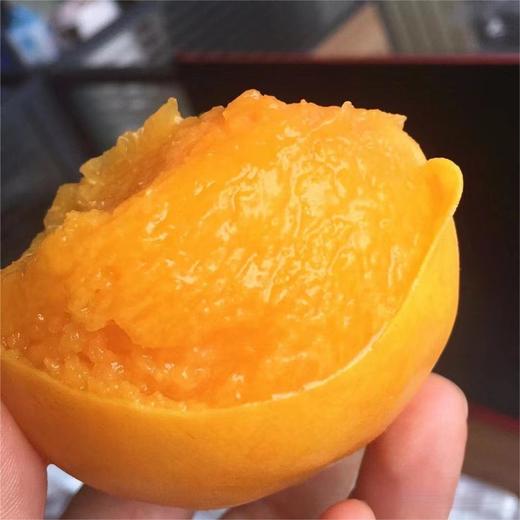 蒙阴黄金蜜桃 |山东水果 商品图2