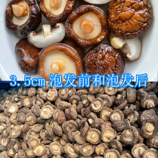 【给你一个健康美味的选择！农家新鲜干香菇干货】朵大菇厚，口感鲜美，味香质纯肉厚细嫩，跟蒂短小，厚菇农家新鲜干香菇使用蘑菇冬菇干货香菇健康 商品图5
