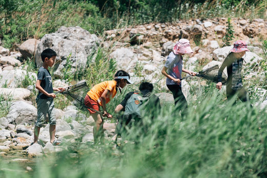 带一条小溪回家 商品图3