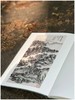《黄宾虹墨迹》，软精装16开，黄宾虹著，浙江人民美术出版社2018年一版一印，定价120，售价108元。 商品缩略图8