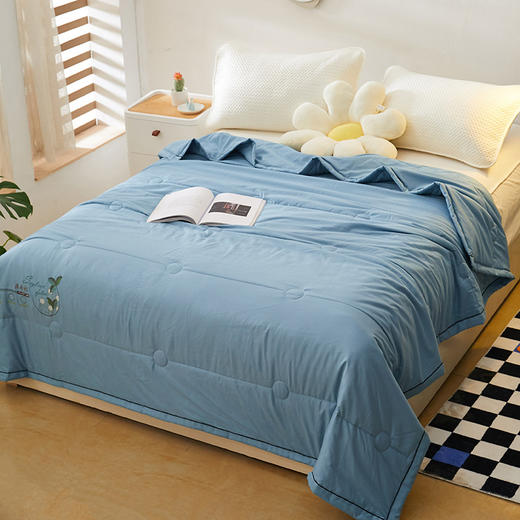 【独享一人时光❗️拥有柔滑质感 薄荷驱蚊功能被】亲肤细腻温和凉感，吸湿透气自带薄荷味，新款夏季凉被单双人空调被可水洗棉被薄款纯色薄被子粉丝专属 商品图1