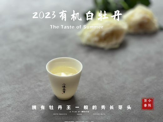 【2023春茶】2023有机白牡丹，牡丹王一般的秀长芽头，花香温柔，犹如添香的红袖 商品图11