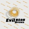 Mlii Lens 撒旦金棕 年抛 两片 14.2mm 着色 13.7mm 基弧8.6 含水38% 韩国进口 商品缩略图4