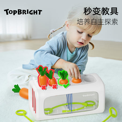 【趣学空间感 小手忙不停】TOPBRIGHT特宝儿忙碌空间认知筒小菜园塞塞乐 宝宝趣味菜园 拔萝卜益智玩具 启蒙3大空间认知 商品图2