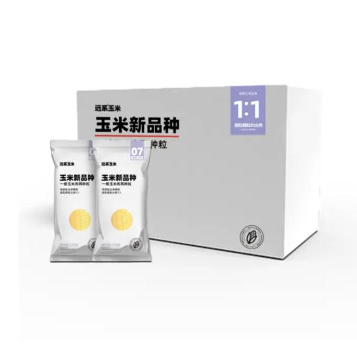 远系7号玉米杂交非转基因玉米 东北新鲜真空 甜粒糯粒1：1 商品图3