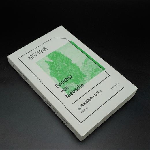 尼采诗选   弗里德里希·尼采 商品图0
