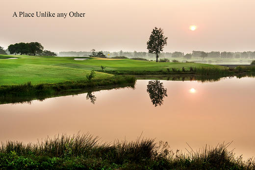 泰国阿约提亚林克斯高尔夫俱乐部(Ayodhya Links Golf Club)| 泰国高尔夫球场 俱乐部 | 曼谷高尔夫 商品图9