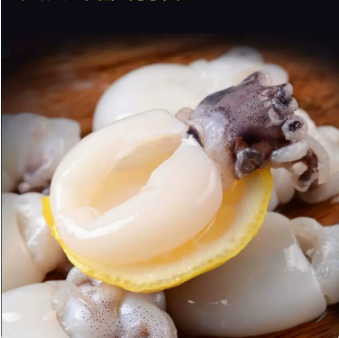 小墨鱼仔冷冻海鲜水产 干冰不缩水去内脏 14头  450g/盒