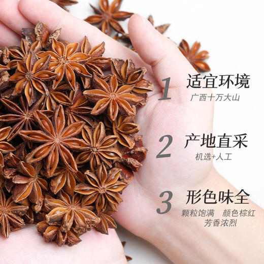 【卤香扑鼻！大红八角大料】色泽自然清香四溢，自然晾干干净无杂，大颗饱满，调味品香料新货香叶桂皮香辛料卤料大红八角健康 商品图1