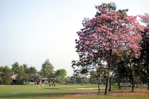 泰国京凯维高尔夫俱乐部  Krung Kavee Golf Club | 泰国高尔夫球场 俱乐部 | 曼谷高尔夫 商品图1