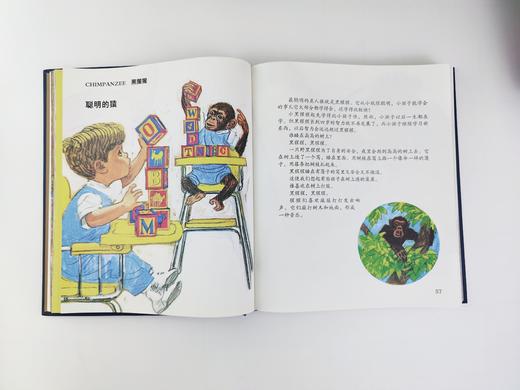 《大英儿童百科全书》（入选新闻出版总署向青少年推荐图书） 商品图3