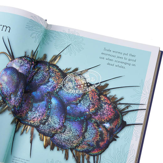 【中商原版】DK水生生物选集 An Anthology of Aquatic Life 英文原版 Sam Hume 自然百科 海洋生物 自然科学 商品图3