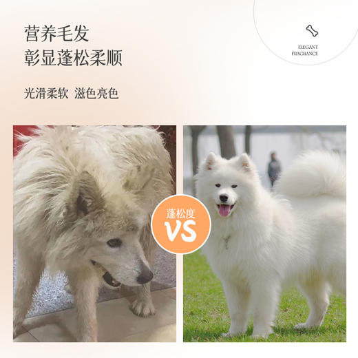 奥芬洁【明星产品】狗狗沐浴露猫咪沐浴露抑菌除螨宠物洗澡沐浴露 商品图3