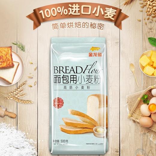 【15.9任选3件】金龙鱼面包用高筋小麦粉500G 商品图1