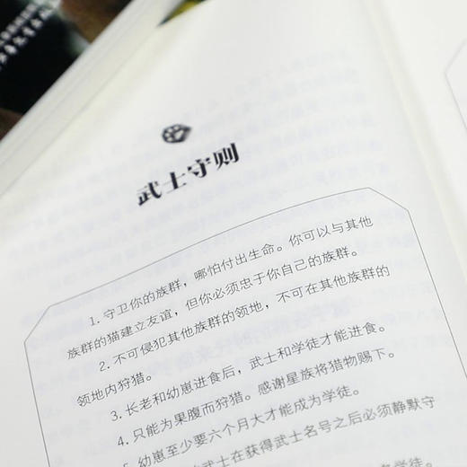 猫武士荒野手册（全5册； 猫武士系列阅读指南，探秘五大族群历史、领地、仪式、预言、武士法则等，为猫迷们勾勒了猫武士世界的框架） 亚马逊网站五星级畅销书, 欧美销售突破10000万册 商品图5