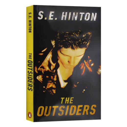 英文原版 The Outsiders 局外人 追逐金色的少年 S. E. Hinton 英文版 进口英语原版书籍 商品图3