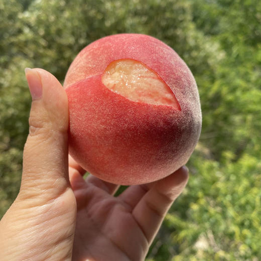 产地直邮-陕西突围水蜜桃 硬吃脆甜 软吃糯甜 商品图3