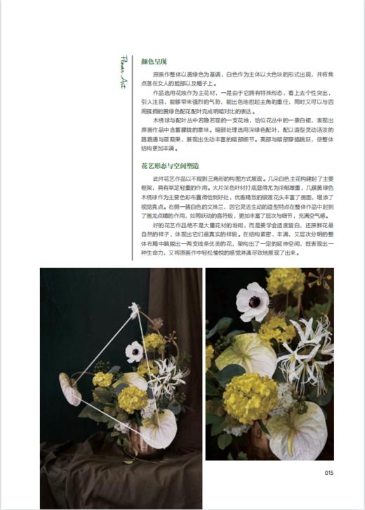 画与花 25幅名画的花艺表达 0325 花艺目客编辑部 解构25幅名画 花艺再创作 花艺设计赏析 中国林业出版社 畅销书 商品图2