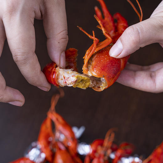 餐云招牌卤虾蟹粉 夏季卤虾  秋冬季卤蟹专用卤料粉 通过十年打磨和沉淀 让餐饮创新少走弯路 商品图1