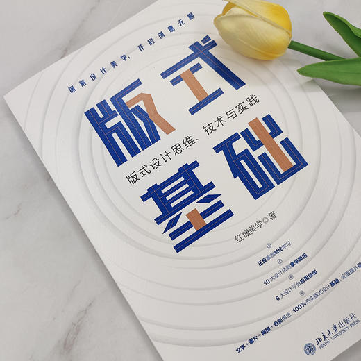 飞乐鸟 版式基础：版式设计思维、技术与实践 红糖美学 北京大学出版社 设计小白快速入门 一本书吃透版式设计 商品图3