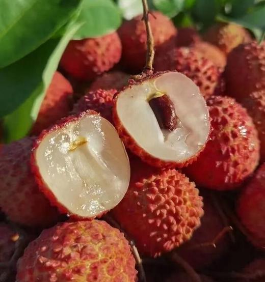 【外运冷链】今夏荔枝正当时  产地冷链直发 桂味/荔枝王礼盒 商品图3