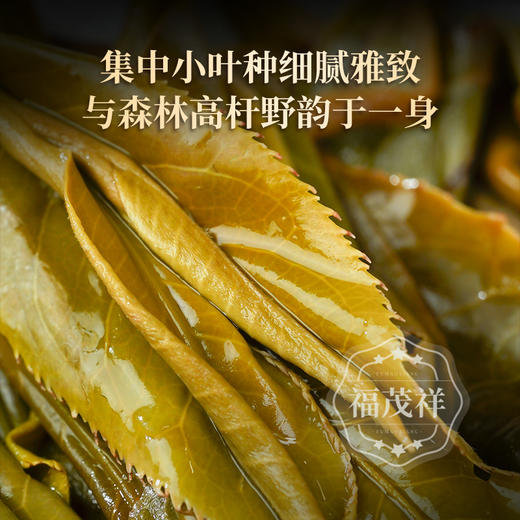 【大黑树林】曼松兄长大黑树林 皇家贡茶地1类大高杆 倚邦二组茶农联合出品 2023年云南普洱生茶500年高杆古树 357g饼茶 商品图5