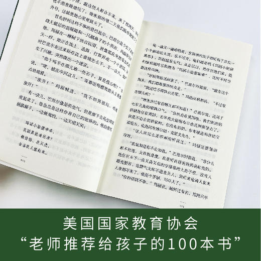 秘密花园    4年级正版现货速发|名师推荐|小学生课外阅读四年级 商品图2
