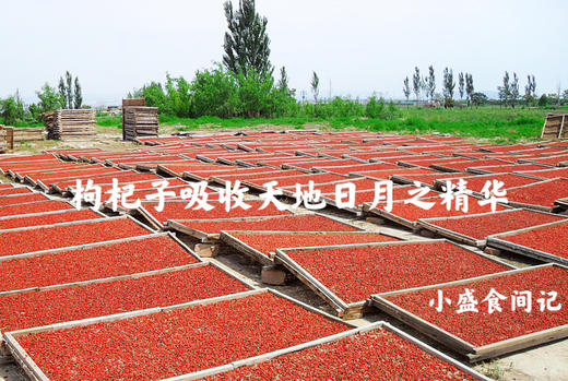 宁夏中宁红枸杞贡果等级220g 商品图6