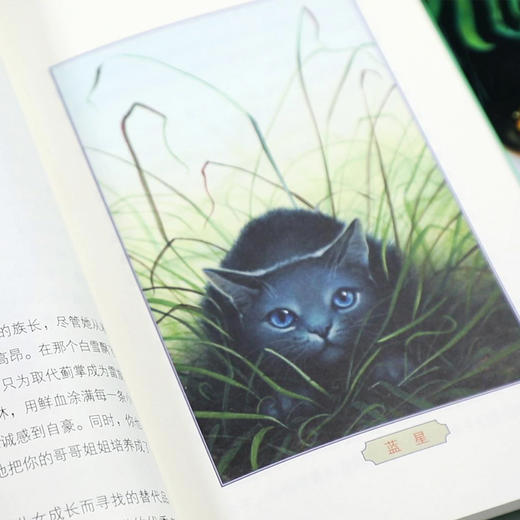 猫武士荒野手册（全5册； 猫武士系列阅读指南，探秘五大族群历史、领地、仪式、预言、武士法则等，为猫迷们勾勒了猫武士世界的框架） 亚马逊网站五星级畅销书, 欧美销售突破10000万册 商品图7
