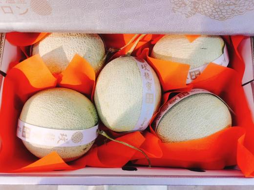 玫珑蜜瓜一箱（拼团） 商品图1