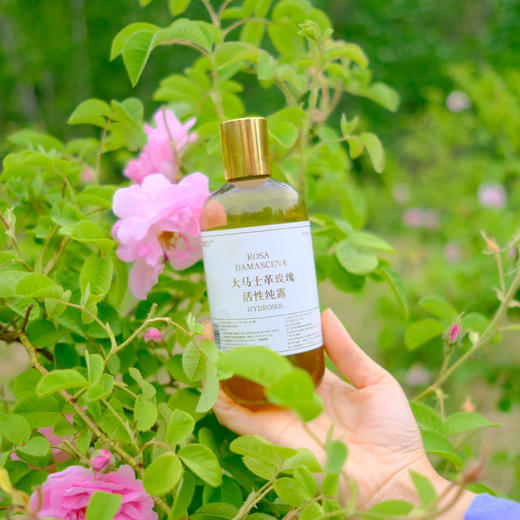 必囤NO1!【陪伴到老!含有精油的大马士革玫瑰纯 露】最顶级的食用玫瑰，4斤鲜花1斤水蒸馏萃取。 保加利亚官方合作基地纯种种苗，自然农法种植， 桃花源中有玫瑰! 商品图1