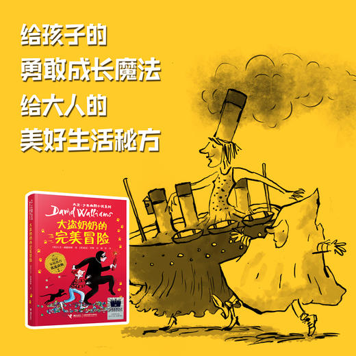 大盗奶奶的完美冒险    3年级正版现货速发|名师推荐|小学生课外阅读三年级 商品图2