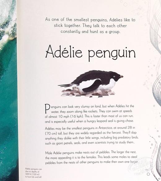 【中商原版】DK水生生物选集 An Anthology of Aquatic Life 英文原版 Sam Hume 自然百科 海洋生物 自然科学 商品图6