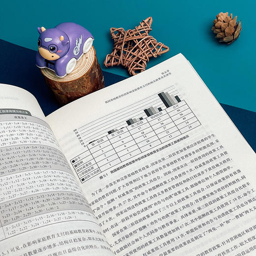 通路 农村家庭教育支付能力探索 林荣日等著 商品图8