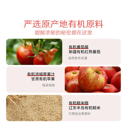 丨有机丨禾然有机番茄沙司 不加一滴水，不加一点盐；酸甜适口；可点蘸，炒菜，做汤，调制西式酱汁等 商品图2