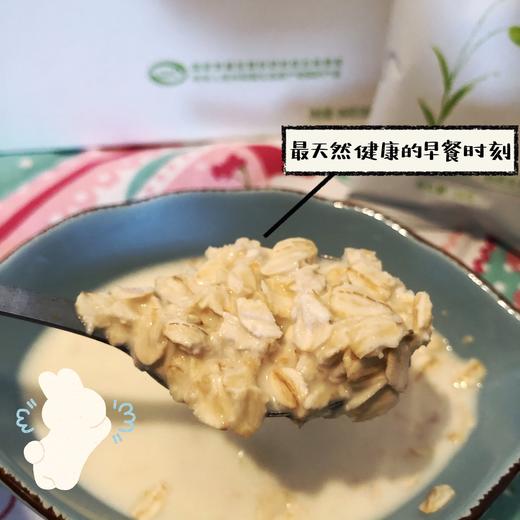 热卖【蒙北天然燕麦片】海拔1000米以上种植，有机燕麦，高蛋白/低脂/丰富膳食纤维，C4超低营养保全专利技术 商品图1