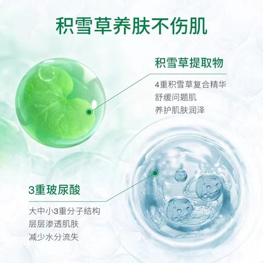 VT薇缔积雪草洗面奶 商品图7