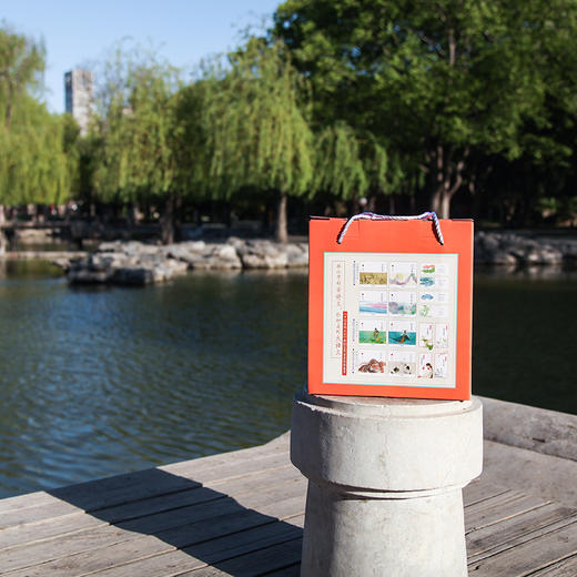 陪孩子读古诗词系列   第五届中国童书榜“100佳童书”《中国新闻出版广电报》优秀畅销书入选亲近母语5-6岁分级阅读书目,入选2018中国诗词大会康震教授推荐 商品图4