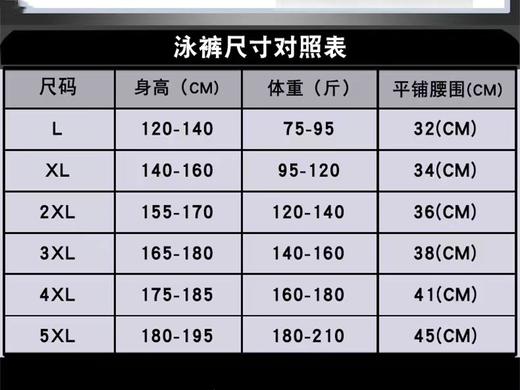 海之岛新款泳裤平角成人男士游泳裤专业男泳裤温泉泳裤颜色随机1条 商品图5