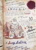 【中商原版】Marcy s Journal   A Guide to Amphibia 商品缩略图6