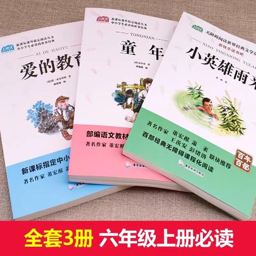 快乐读书吧六年级上册 全3册 JST爱的教育小英雄雨来正版 快乐读书吧六年级童年书高尔基原著完整版六年级课外书经典名著6年级上册 商品图1