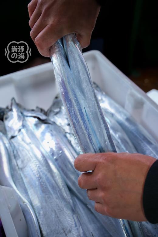 舟山东海野生钓带鱼 整条速冻 不包冰 商品图2