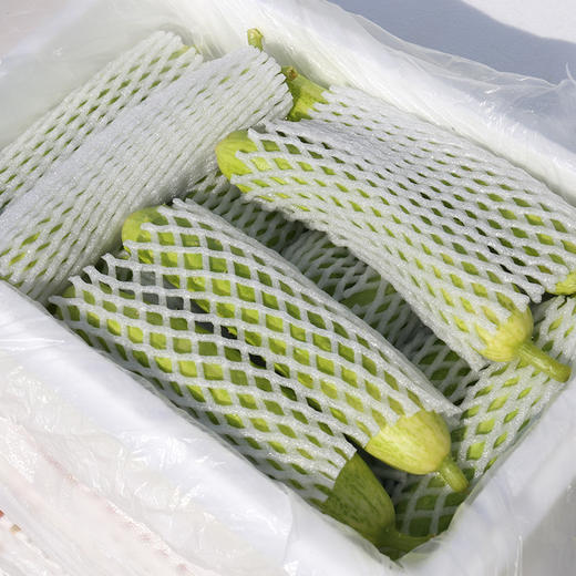 【牛奶白玉黄瓜】采用发酵大豆施肥，牛奶灌溉，新鲜采摘发货，瓜肉饱满，口感爽脆，非常适合生吃，“咔嚓”一声，一口咬下，清脆悦耳·满嘴尽是清新。 商品图2