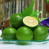 【秒杀】水果青柠檬30粒独立包装  商品缩略图0
