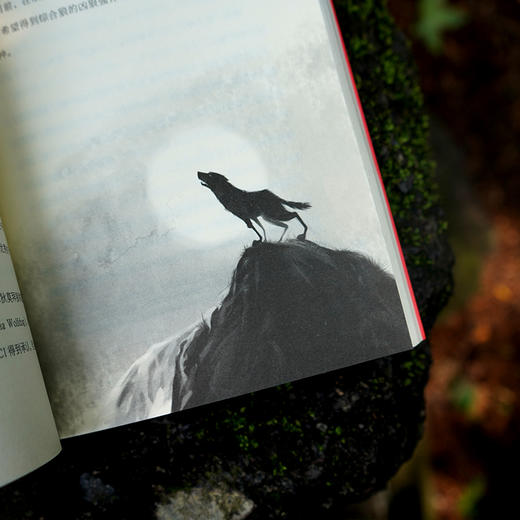 黑夜之王     4年级正版现货速发|名师推荐|小学生课外阅读四年级 商品图3