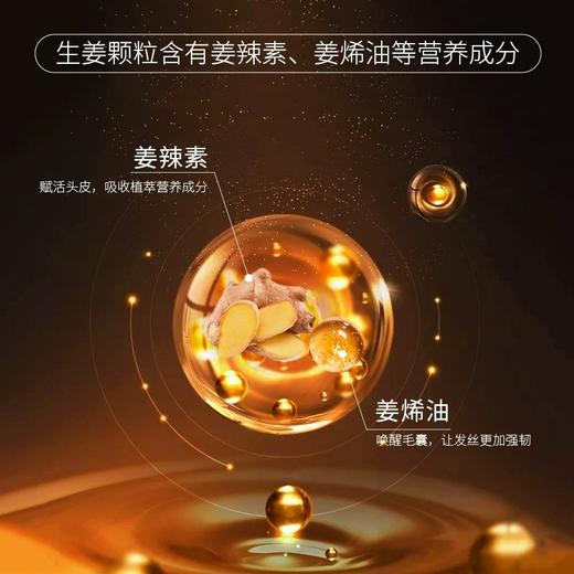 泰国进口ATREUS生姜洗发水控油止痒去屑防脱发400ml 商品图6