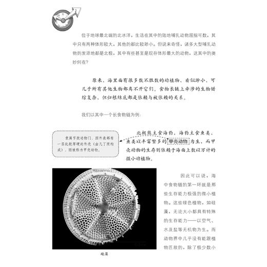 《全世界孩子喜爱的大师趣味科普丛书：趣味动物学》 商品图5