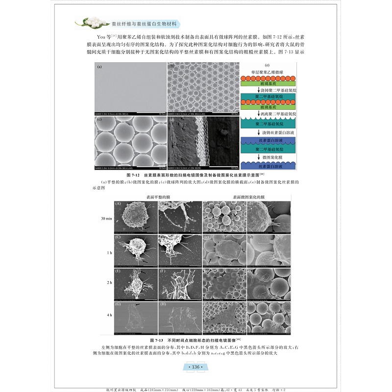 蚕丝纤维-ZW(四校) 209_001.jpg