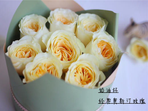 【温柔以待】 商品图1