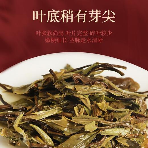 【匠心之作 清香之味】大沁白茶 知青系列 2021年福鼎白茶 白牡丹饼茶 礼盒装 300g/盒（京东同款） 商品图3